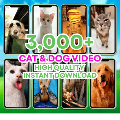 60,000 Reels Mega Bundle | AI Motivational, Viral & Faceless Content for Instagram, TikTok, YouTube & Facebook