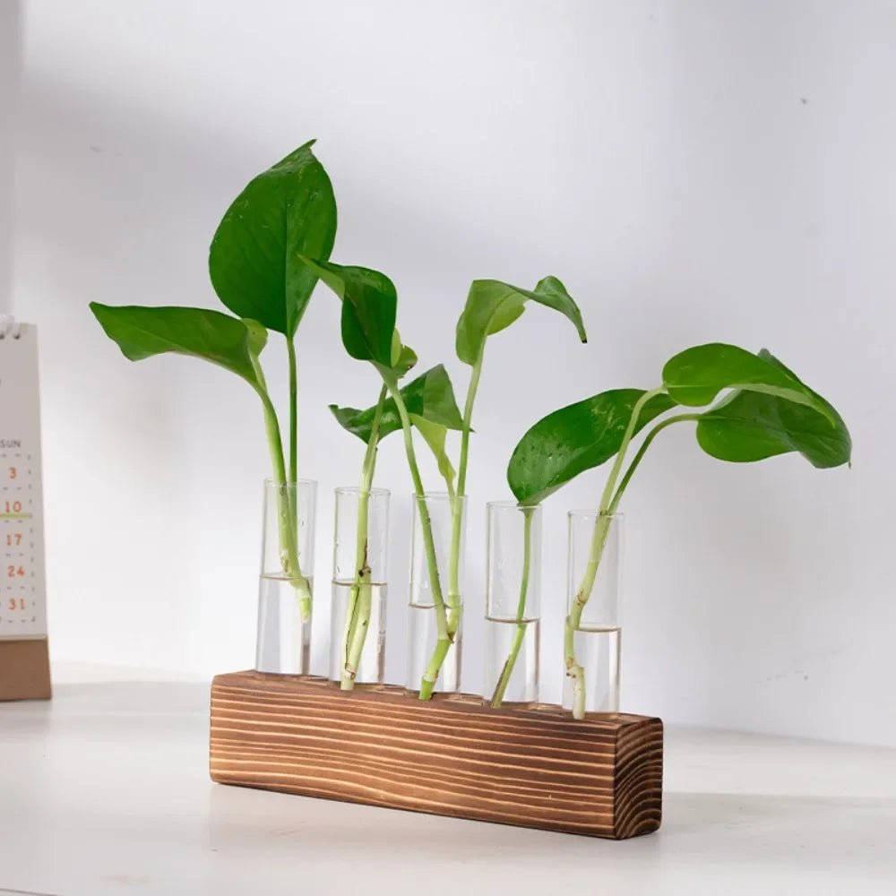 3/5 Tubes Wall Hanging Hydroponic Plant Propagation Glass Vase with Wooden Stand Desktop for Home Office Planter Garde Decor - Smoothy Home