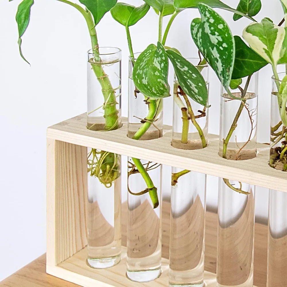 3/5 Tubes Wall Hanging Hydroponic Plant Propagation Glass Vase with Wooden Stand Desktop for Home Office Planter Garde Decor - Smoothy Home
