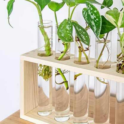 3/5 Tubes Wall Hanging Hydroponic Plant Propagation Glass Vase with Wooden Stand Desktop for Home Office Planter Garde Decor - Smoothy Home