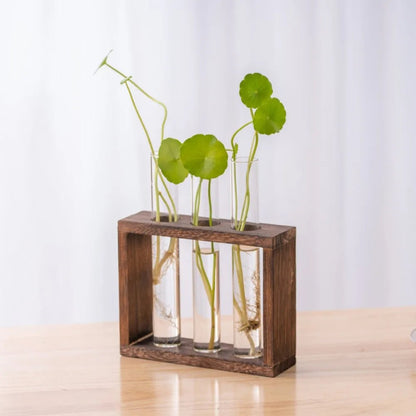 3/5 Tubes Wall Hanging Hydroponic Plant Propagation Glass Vase with Wooden Stand Desktop for Home Office Planter Garde Decor - Smoothy Home