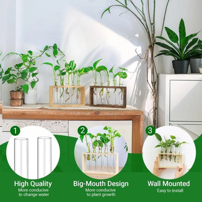3/5 Tubes Wall Hanging Hydroponic Plant Propagation Glass Vase with Wooden Stand Desktop for Home Office Planter Garde Decor - Smoothy Home