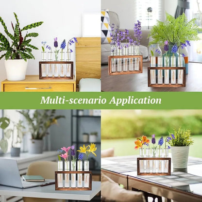 3/5 Tubes Wall Hanging Hydroponic Plant Propagation Glass Vase with Wooden Stand Desktop for Home Office Planter Garde Decor - Smoothy Home