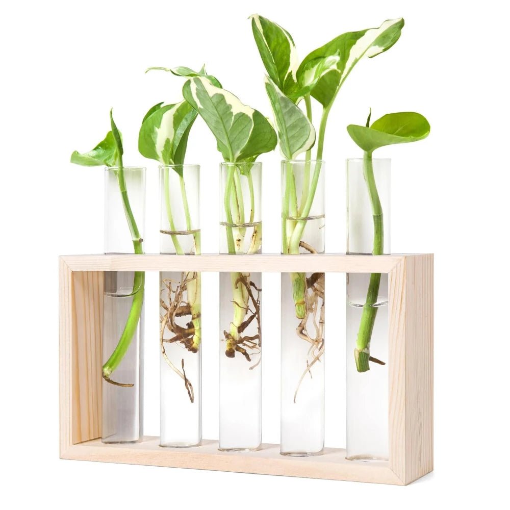 3/5 Tubes Wall Hanging Hydroponic Plant Propagation Glass Vase with Wooden Stand Desktop for Home Office Planter Garde Decor - Smoothy Home