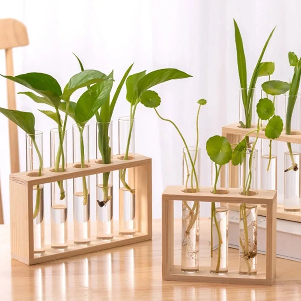 3/5 Tubes Wall Hanging Hydroponic Plant Propagation Glass Vase with Wooden Stand Desktop for Home Office Planter Garde Decor - Smoothy Home