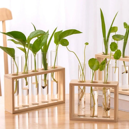 3/5 Tubes Wall Hanging Hydroponic Plant Propagation Glass Vase with Wooden Stand Desktop for Home Office Planter Garde Decor - Smoothy Home
