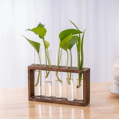 3/5 Tubes Wall Hanging Hydroponic Plant Propagation Glass Vase with Wooden Stand Desktop for Home Office Planter Garde Decor - Smoothy Home