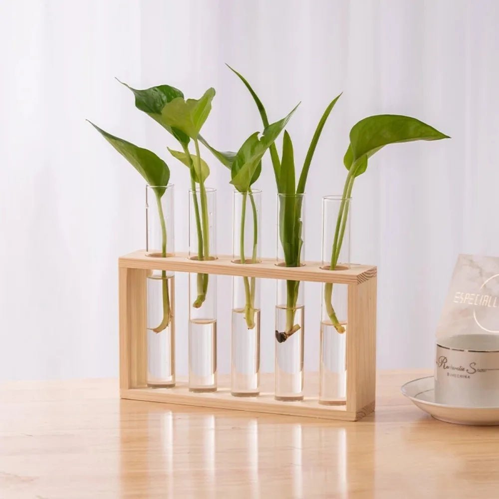 3/5 Tubes Wall Hanging Hydroponic Plant Propagation Glass Vase with Wooden Stand Desktop for Home Office Planter Garde Decor - Smoothy Home