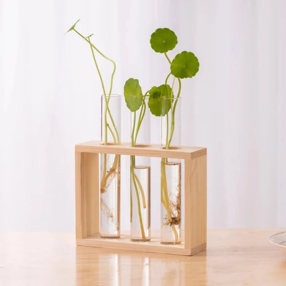 3/5 Tubes Wall Hanging Hydroponic Plant Propagation Glass Vase with Wooden Stand Desktop for Home Office Planter Garde Decor - Smoothy Home