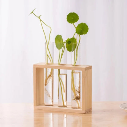 3/5 Tubes Wall Hanging Hydroponic Plant Propagation Glass Vase with Wooden Stand Desktop for Home Office Planter Garde Decor - Smoothy Home