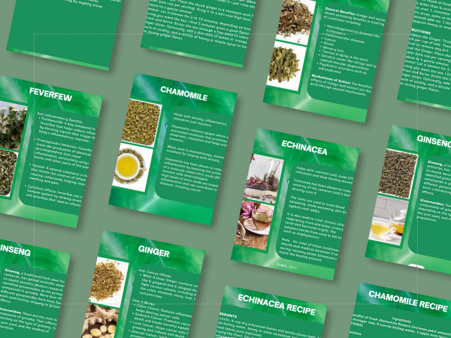 Health Alchemy – 12 Herbal Teas for Common Ailments | Done-For-You Canva Ebook with PLR