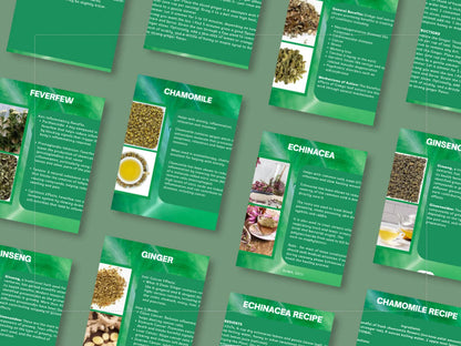 Health Alchemy – 12 Herbal Teas for Common Ailments | Done-For-You Canva Ebook with PLR