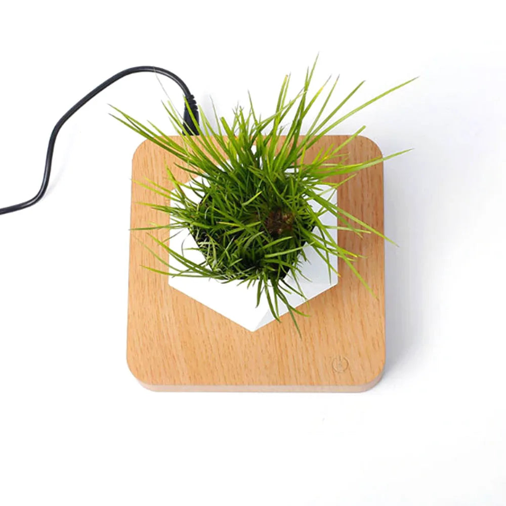 Levitating Air Bonsai Pot Rotation Flower Pot Planters Magnetic Suspension Floating Pot Potted Plant Home Without Plants