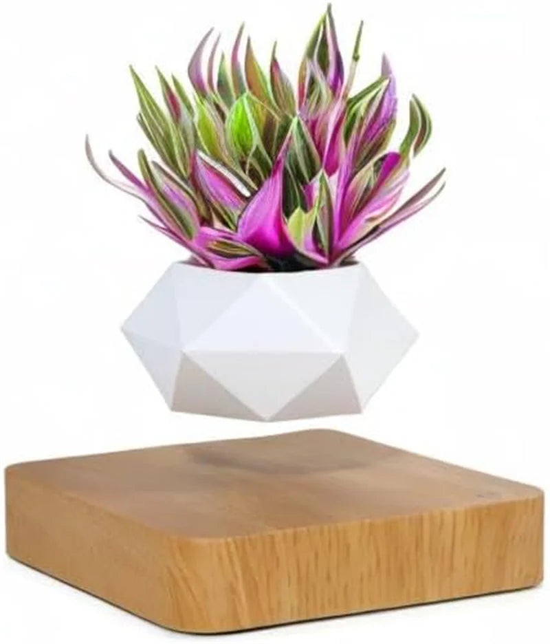 Magnetic Levitating Plant Pot