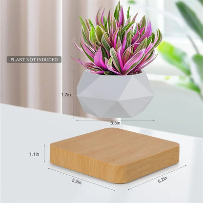 Magnetic Levitating Plant Pot