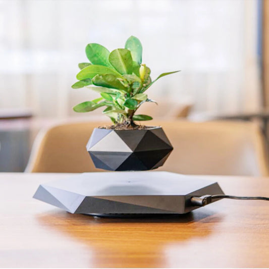 Magnetic Suspension Plante