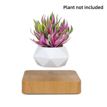 Magnetic Levitating Plant Pot