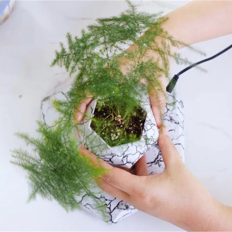 Magnetic Levitating Plant Pot