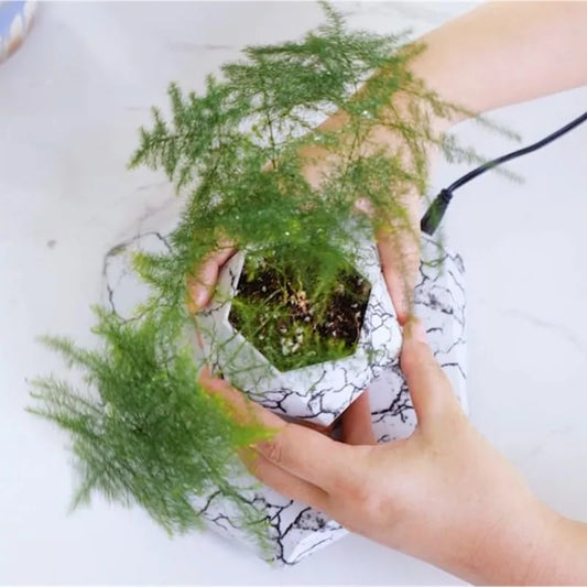 Magnetic Levitating Plant Pot