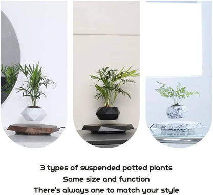 Magnetic Levitating Plant Pot