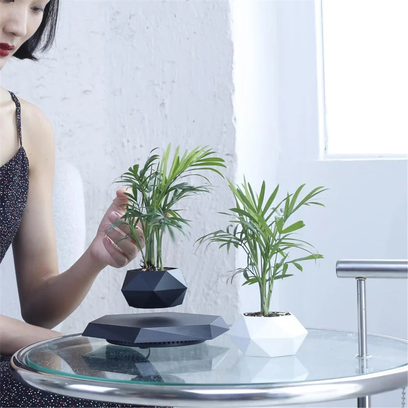 Magnetic Levitating Plant Pot