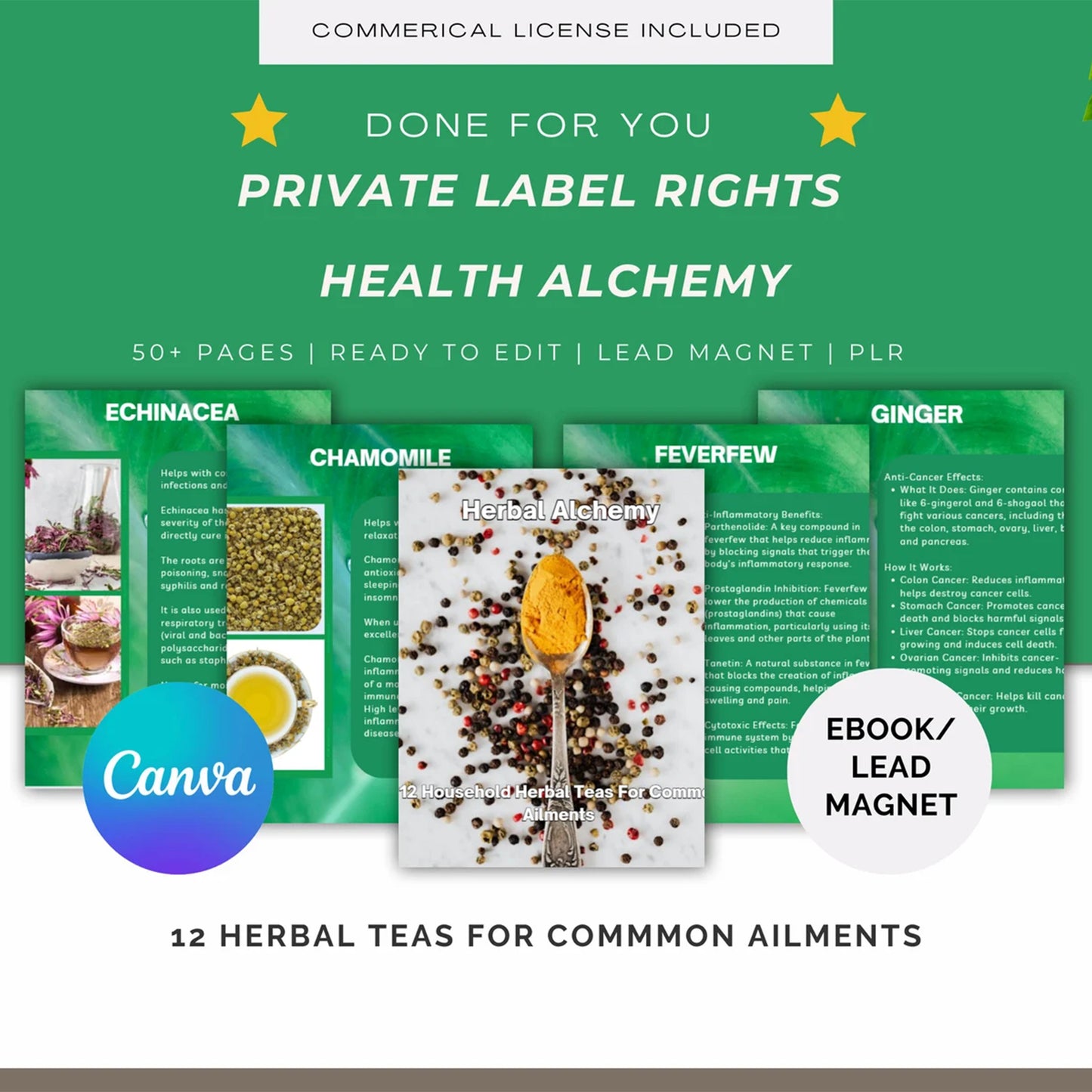 Health Alchemy – 12 Herbal Teas for Common Ailments | Done-For-You Canva Ebook with PLR