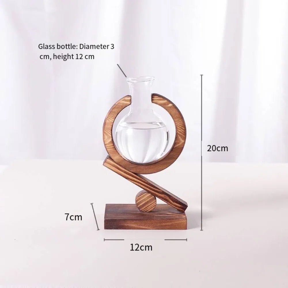 Creative Hydroponic Plants Transparent Glass Wooden Frame Vase Green Ivy Plant Simple Desktop Modern Decoration Ornament - Smoothy Home