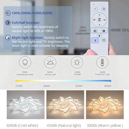 IRALAN Nordic Minimalist Ceiling Light With Remote Control Living Room Modern Creative Petal Design Ceiling Lamp Fixture Bedroom - Smoothy Home