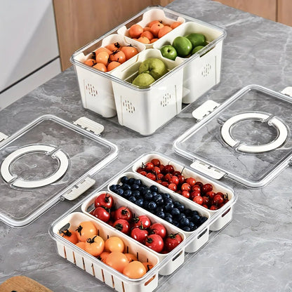 Modern plastic snack tray with lid and handles - Portable 2/4 compartment food storage box with window lid for travel - Smoothy Home