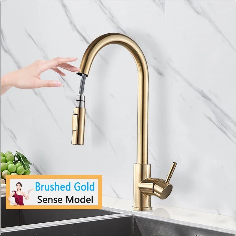 Rozin Smart Touch Kitchen Faucet Black Pull Out Sensor Faucets Black/Nickel 360 Rotation Crane 2 Outlet Water Mixer Taps - Smoothy Home