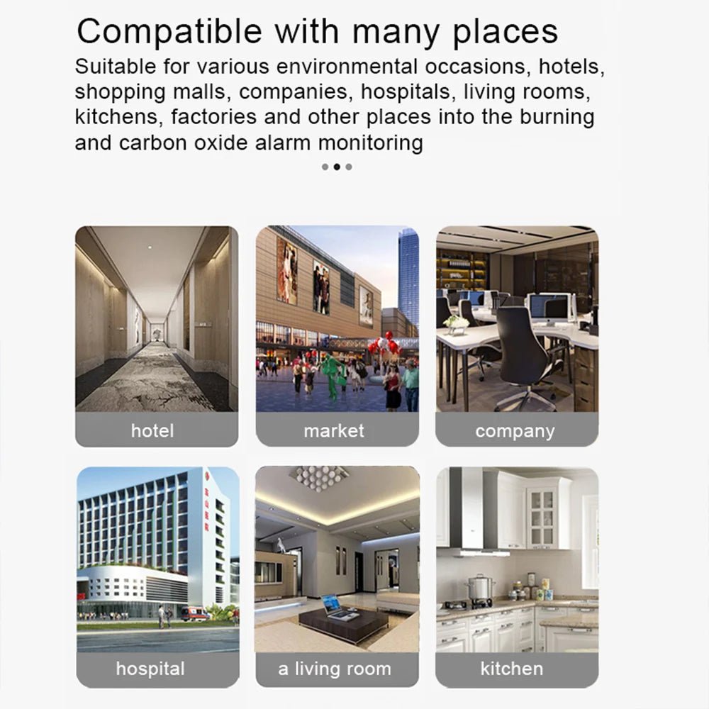 Tuya Smart Life Natural GAS CO Leak Carbon Monoxide Detector WIFI CH4 Methane Combustible Leakage Coal Home Alarm Sensor - Smoothy Home